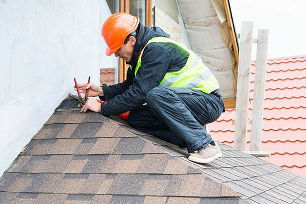 Best Roof Waterproofing Services  in Barrington, IL